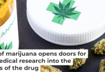 The new federal classification of marijuana regulates only medical use; recreational use is still determined by state laws. tvirbickis/iStock via Getty Images Plus